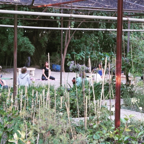 meditación en la naturaleza, mendoza