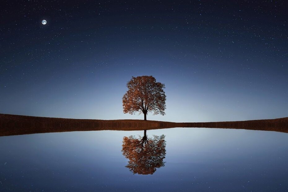 arbol que simboliza el silencio