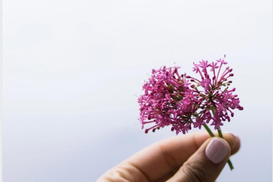 Flores que representan la naturaleza