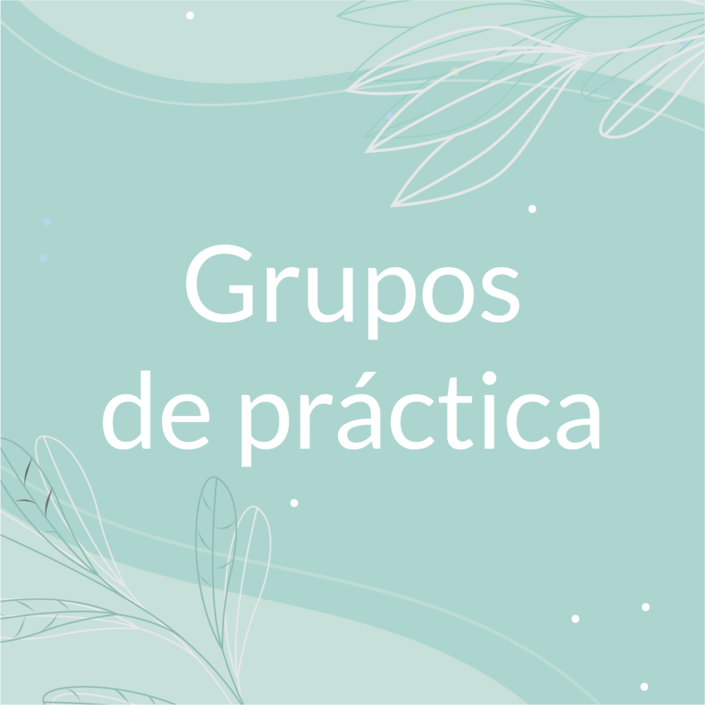 Grupos de práctica