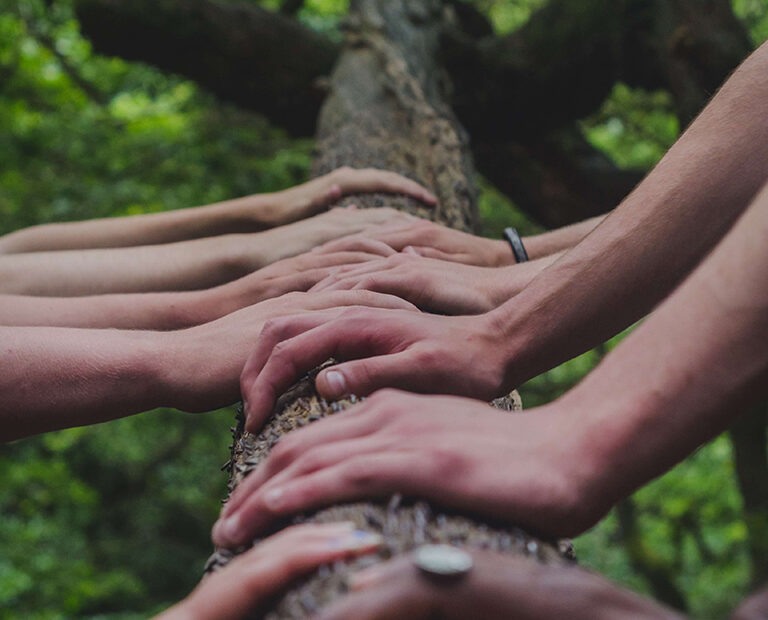 manos en naturaleza representando un grupo de personas